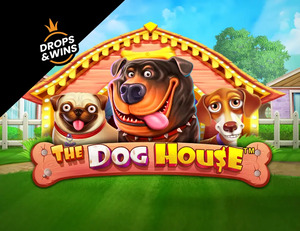 Игровой автомат The Dog House Megaways в казино Pin-Up