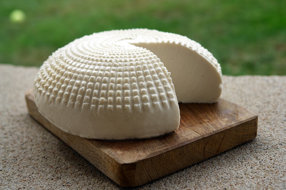 Козий сыр: польза и вред, состав продукта