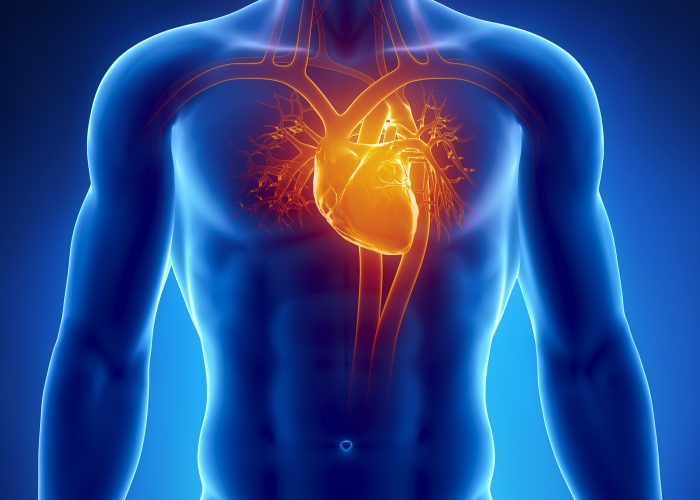 Заболевания сердечно-сосудистой системы