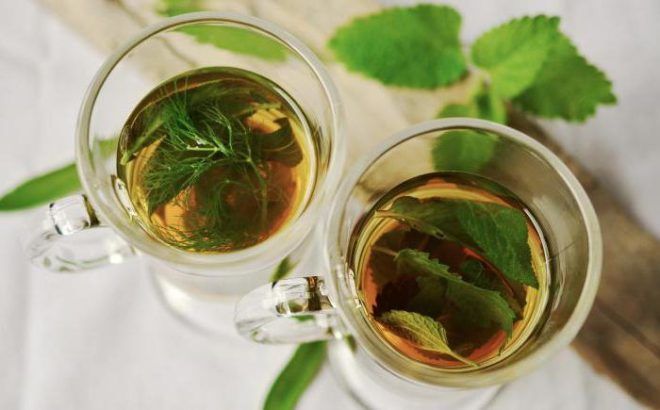 Травяной чай из мяты, сушеницы и листьев мать-и-мачехи
