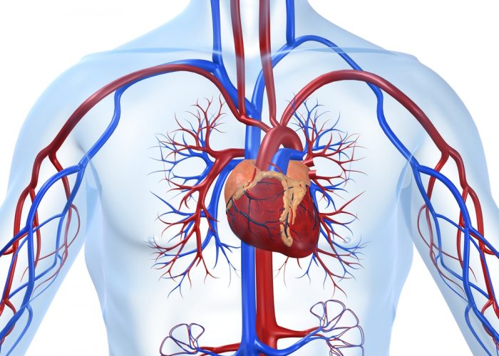 Тяжёлые болезни сердца и сосудов