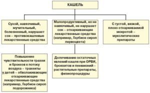 Разновидности кашля