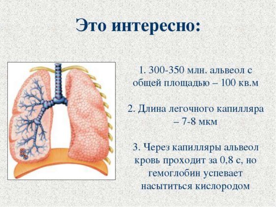Поражениях дыхательных альвеол