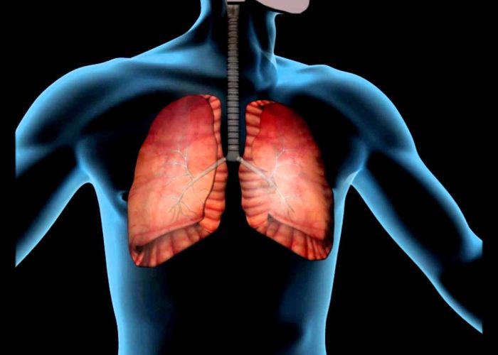 При болезнях нижних дыхательных путей