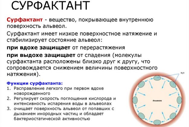 Сурфактант